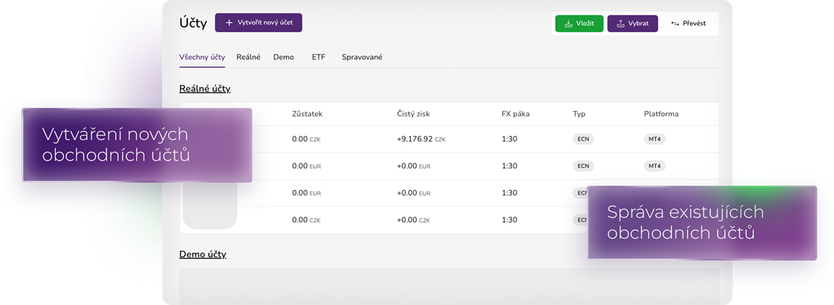 PurpleZone - přehled účtů